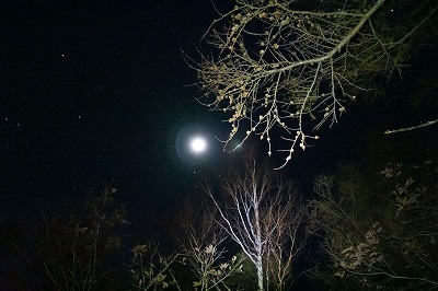 闇夜の登山道で月を仰ぎ見る