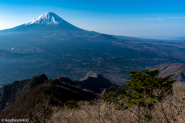 富士山と青木ヶ原樹海