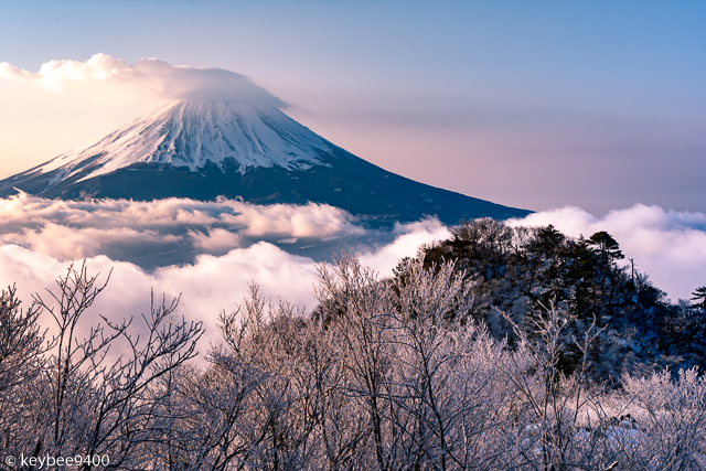 富士山と霧氷