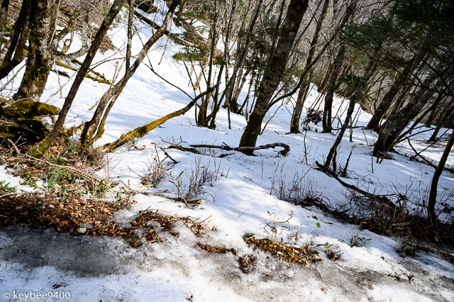 凍った雪に埋もれた登山道