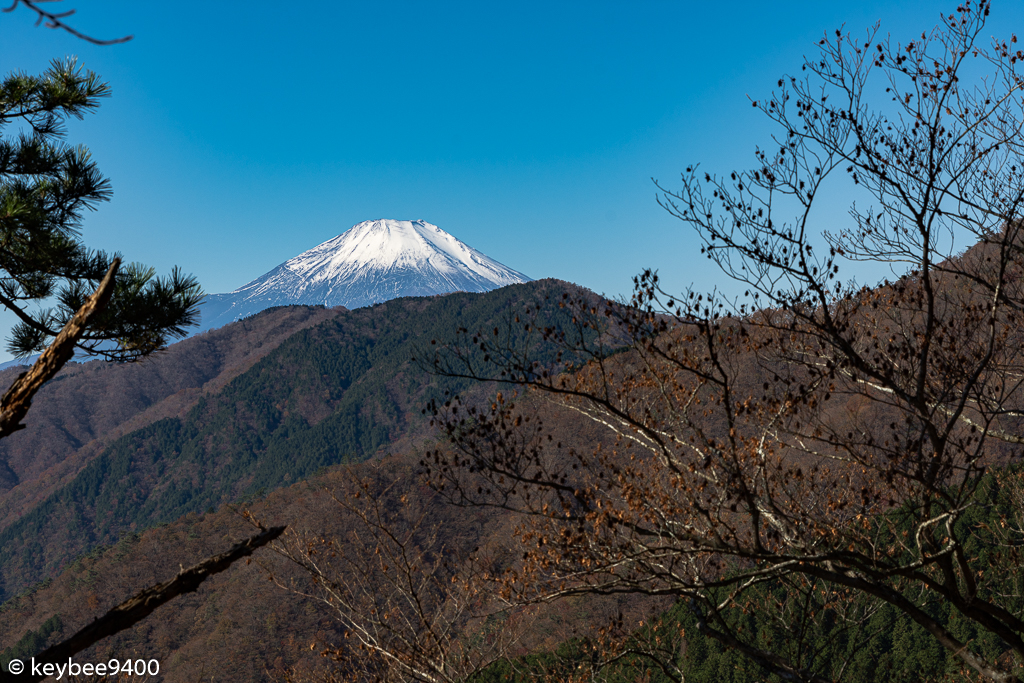 富士山の頭が見えた