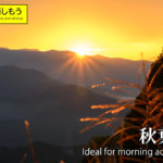 登山のトレーニングにちょうどいい。　秋葉山で朝活してきました。