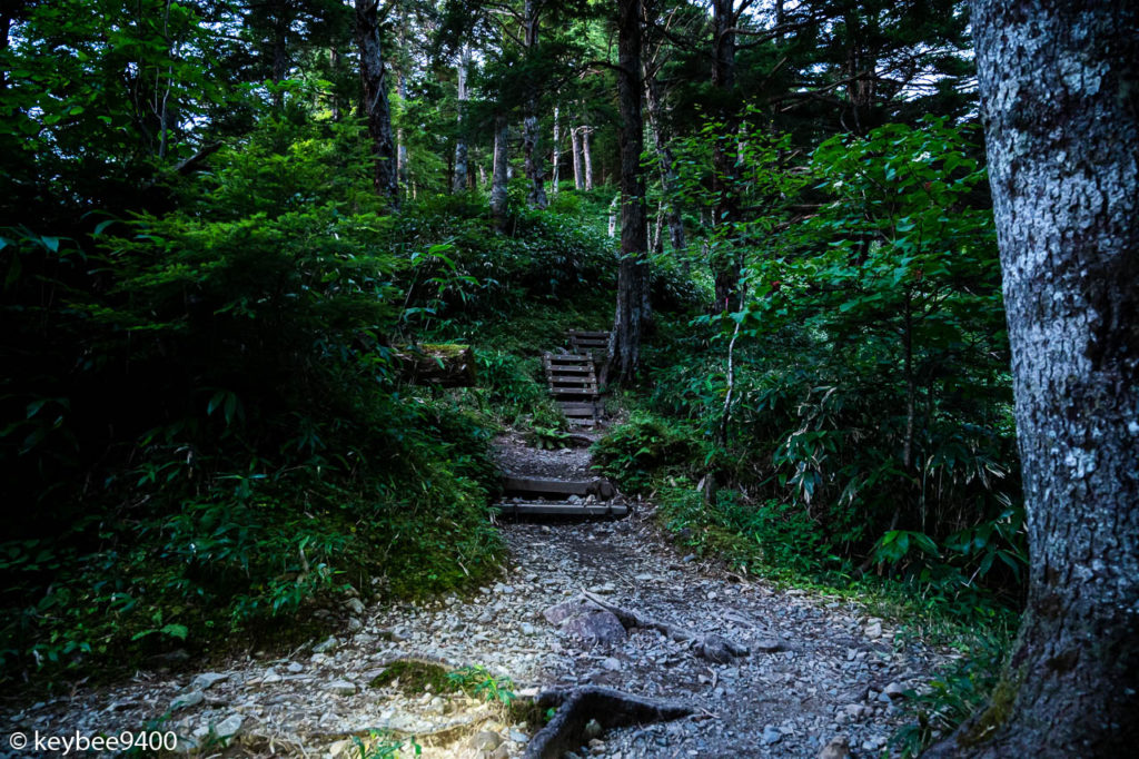 登山道の階段
