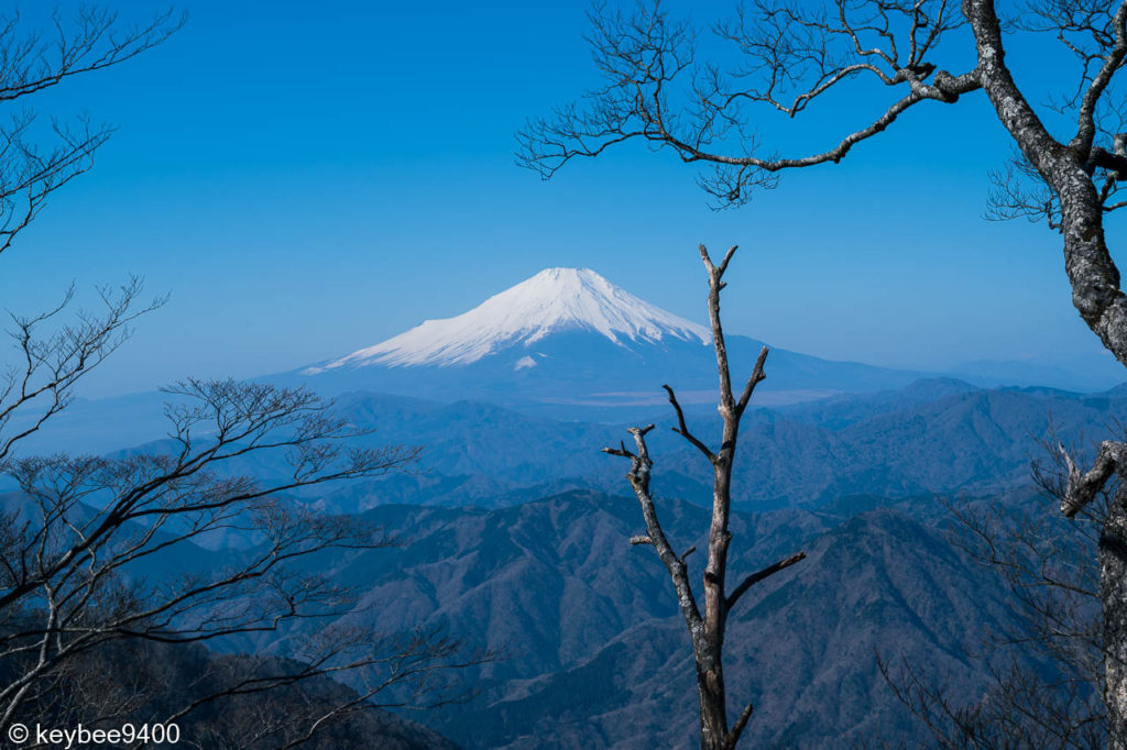 冠雪のきれいな富士山